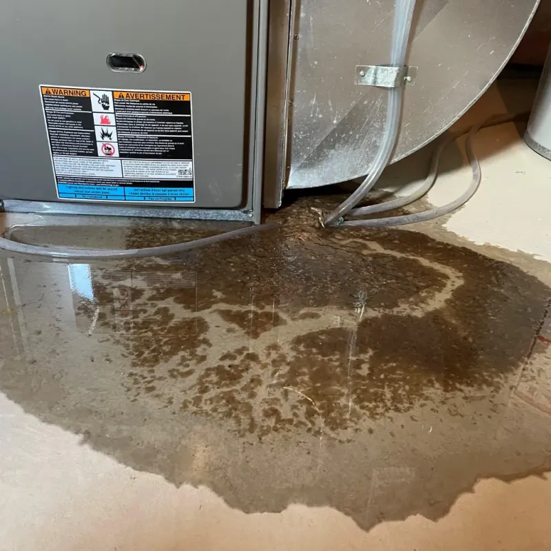 Appliance Leak Cleanup in Mason, MI